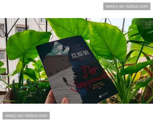 荒原之瞳：在人与狼的博弈中，找回被城市遗忘的血性